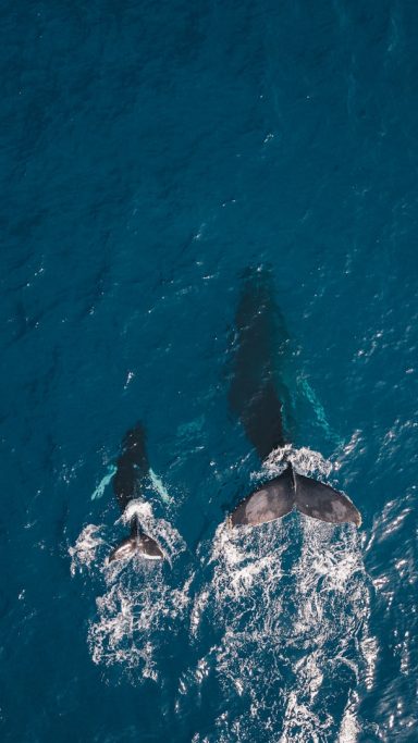 Let's explore in-depth what partnering means to you.