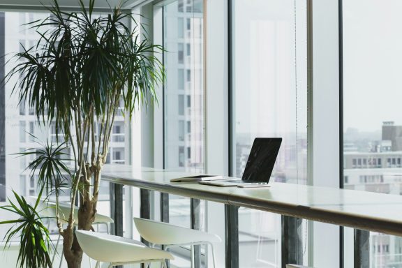 Collaborate with Lighthouse Bay Solutions