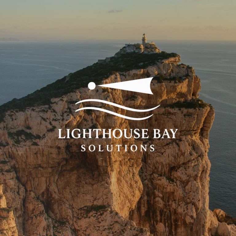 Board & NED Support by Lighthouse Bay Solutions